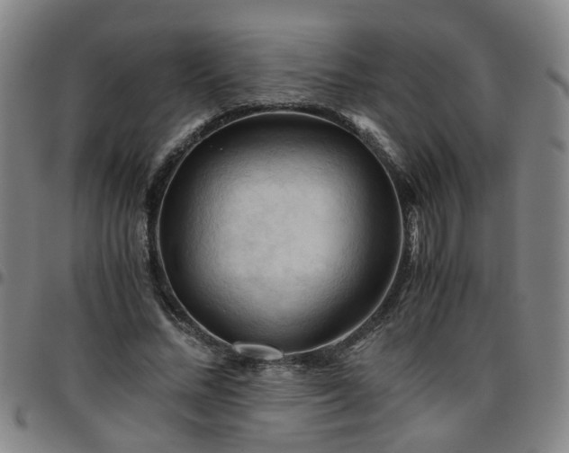 X0000096440684200801311429