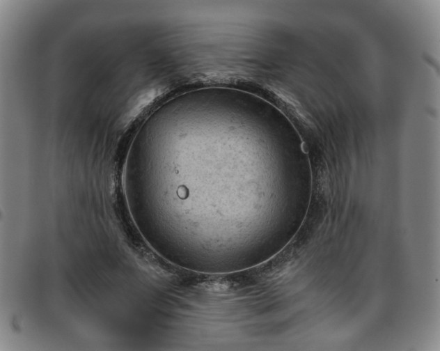 X0000096440687200801311429