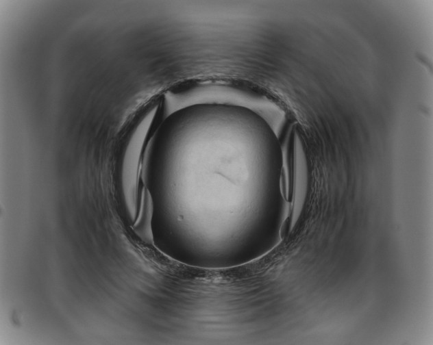 X0000096440688200801311429