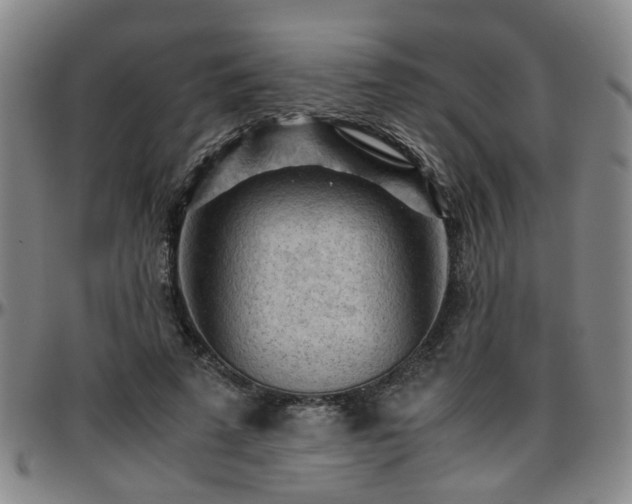 X0000096440689200801311429