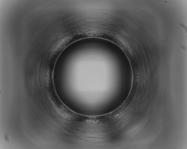 X0000096440690200801311429