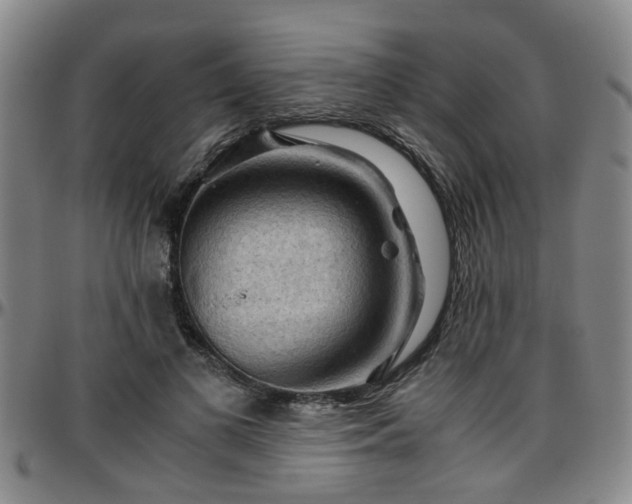 X0000096440693200801311429