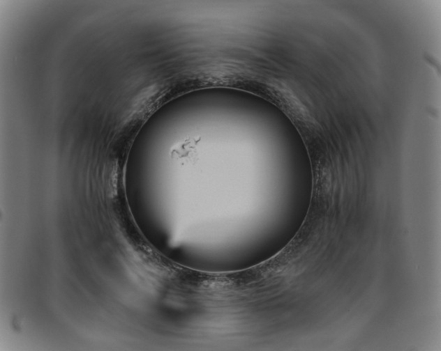 X0000096440694200801311429