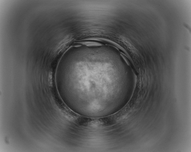 X0000096440696200801311429