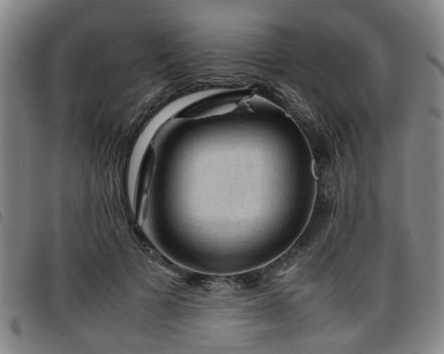 X0000096440697200801311429