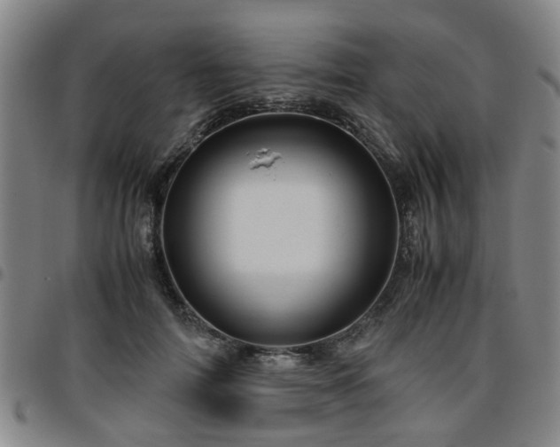 X0000096440698200801311429