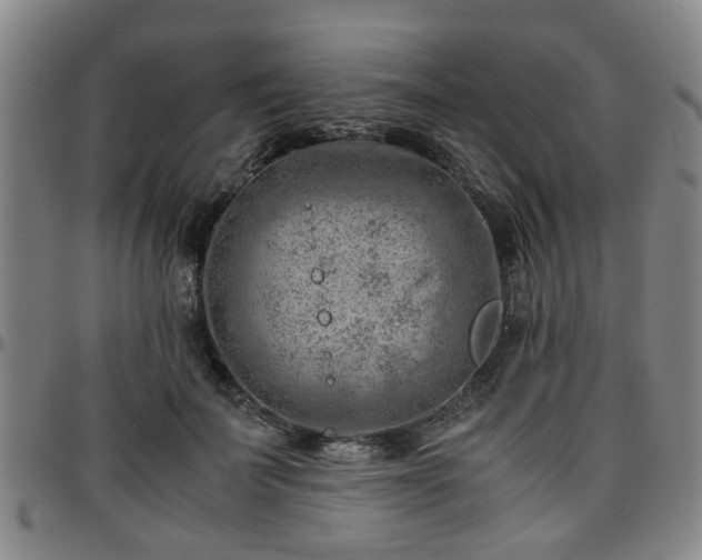 X0000096440699200801311429