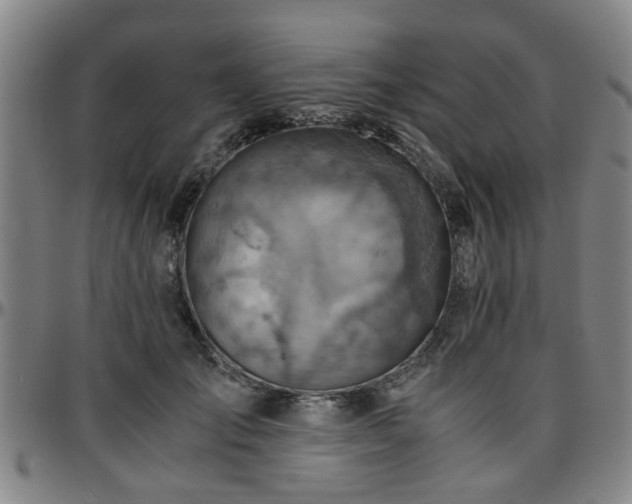 X0000096440701200801311429