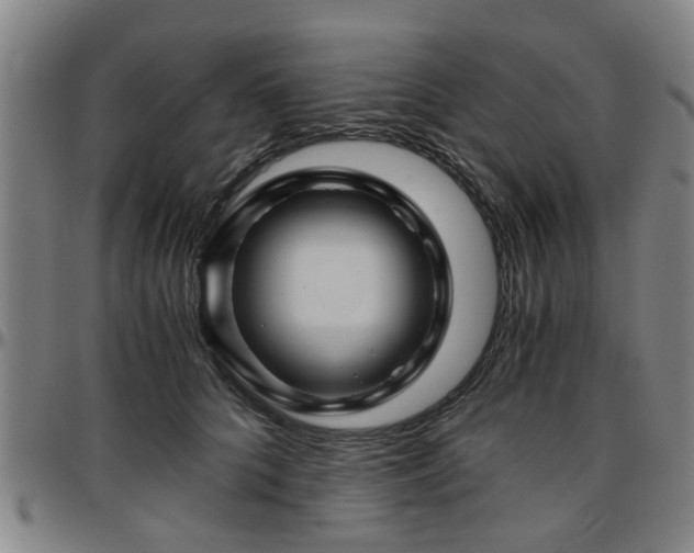 X0000096440704200801311429