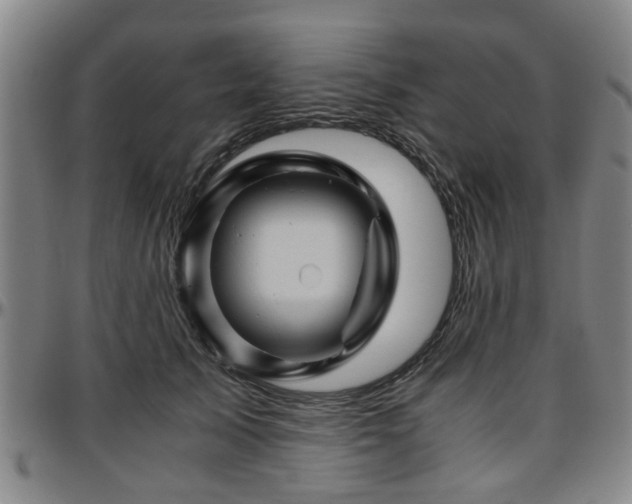 X0000096440705200801311429