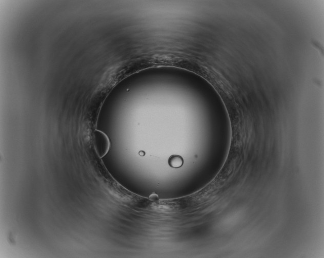 X0000096440706200801311429