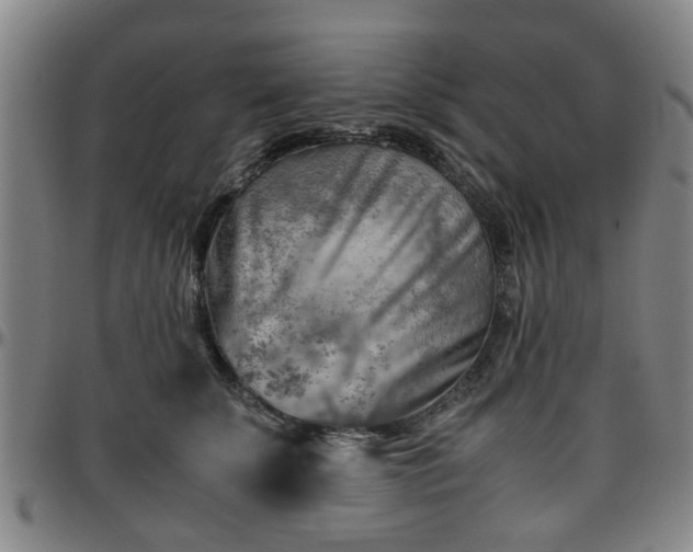 X0000096440707200801311429