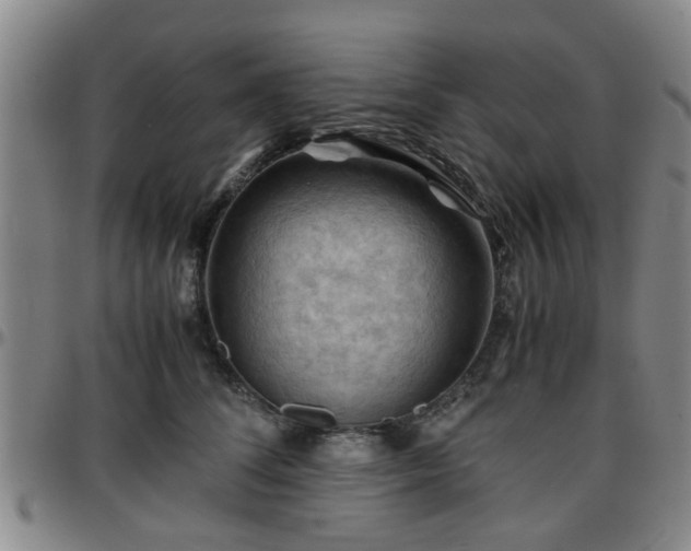 X0000096440708200801311429