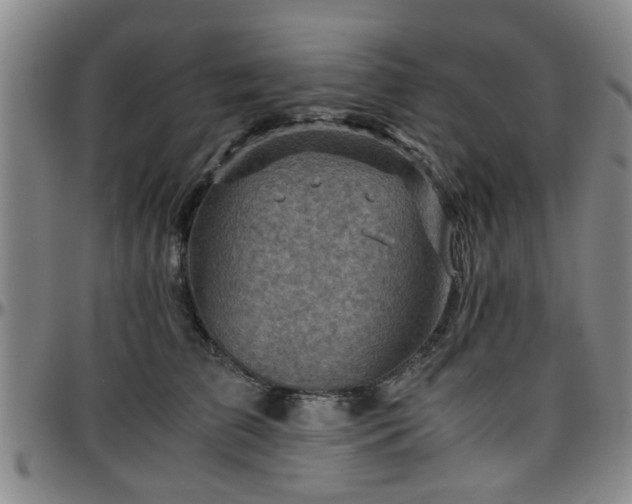 X0000096440709200801311429