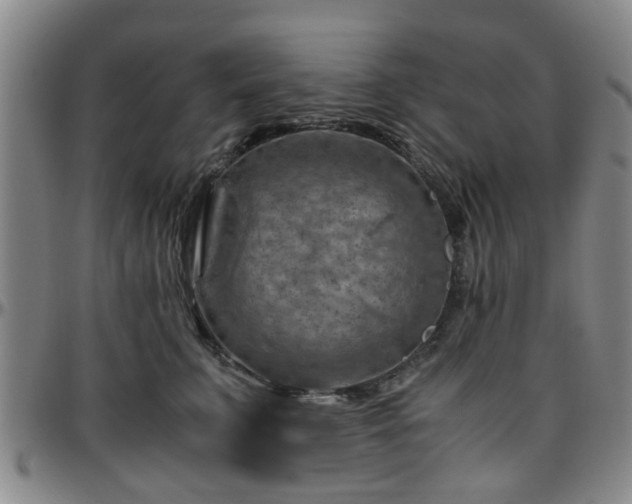 X0000096440711200801311429