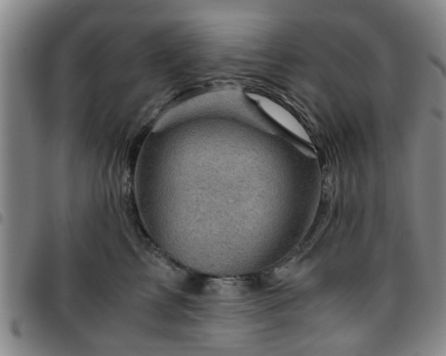 X0000096440713200801311429