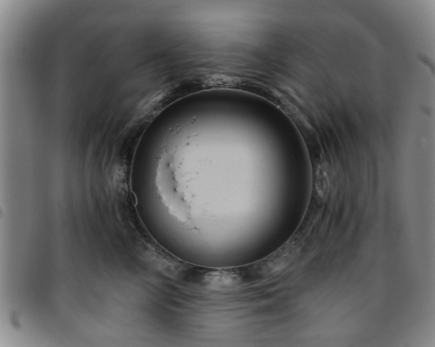 X0000096440714200801311429