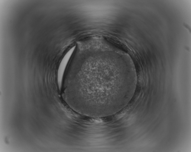 X0000096440715200801311429