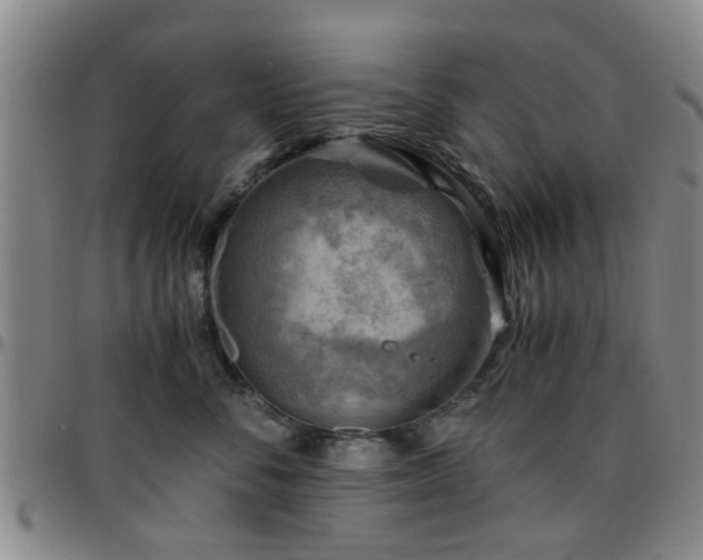 X0000096440716200801311429