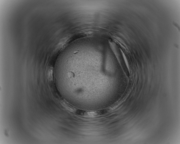 X0000096440717200801311429