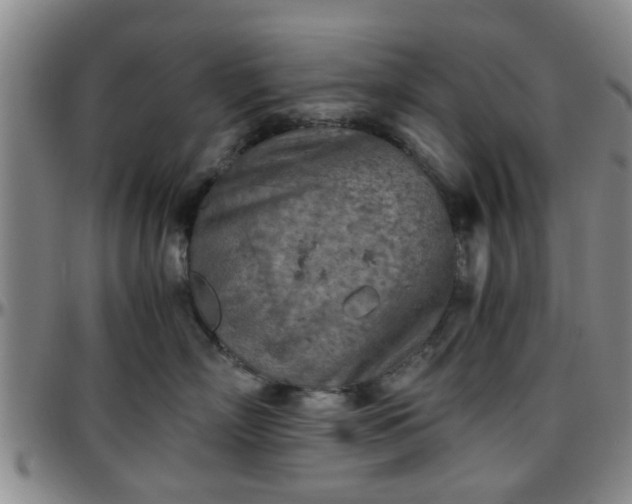 X0000096440718200801311429