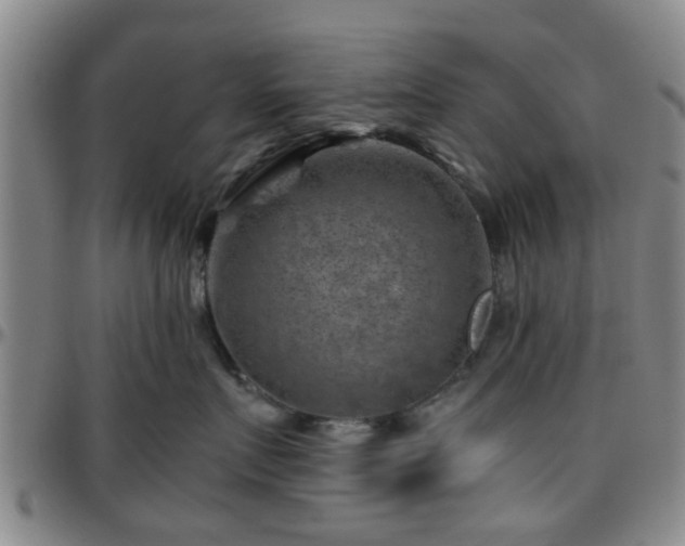 X0000096440719200801311429