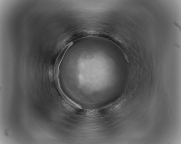 X0000096440720200801311429