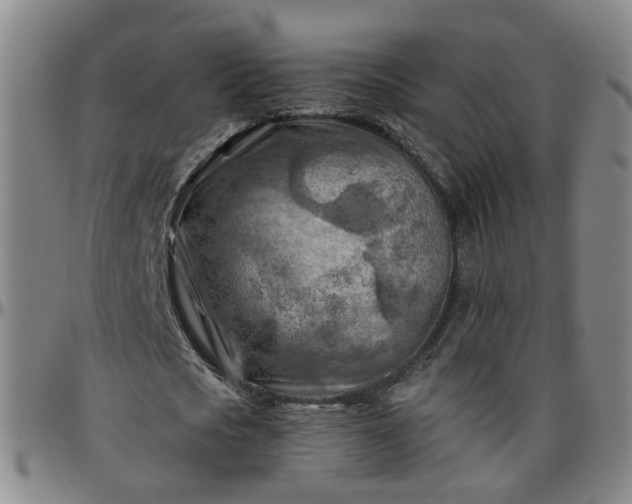 X0000096440721200801311428