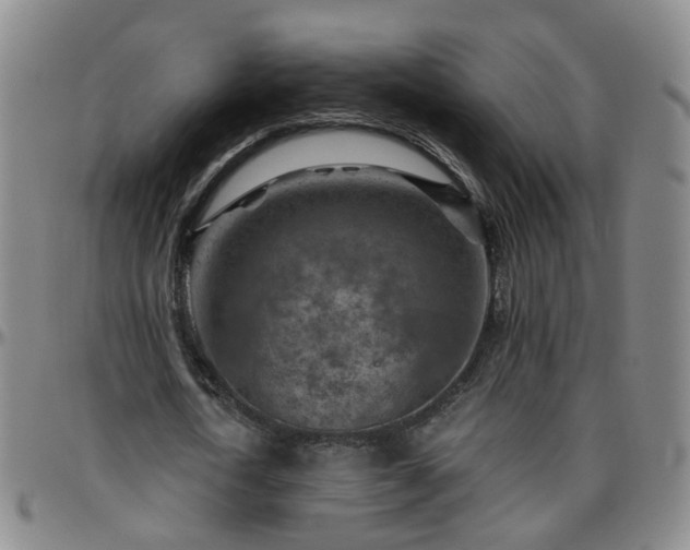 X0000096440722200801311428