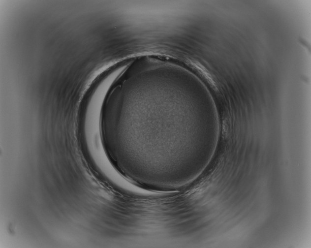 X0000096440724200801311428