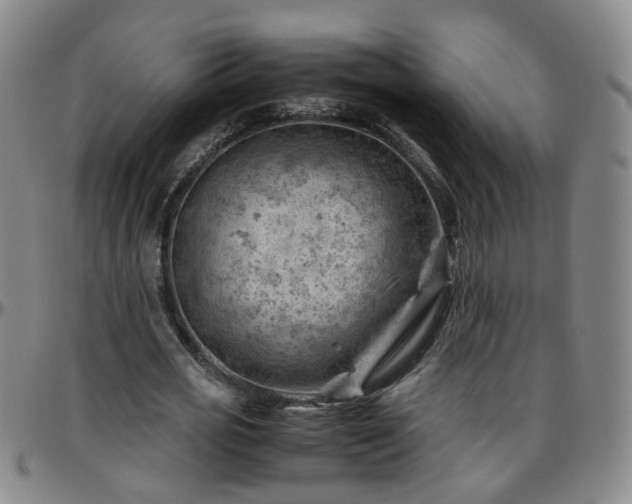 X0000096440725200801311428