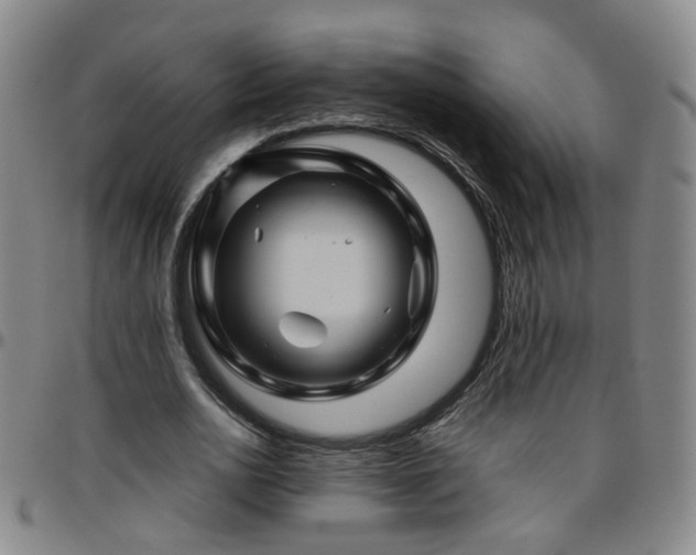 X0000096440726200801311428