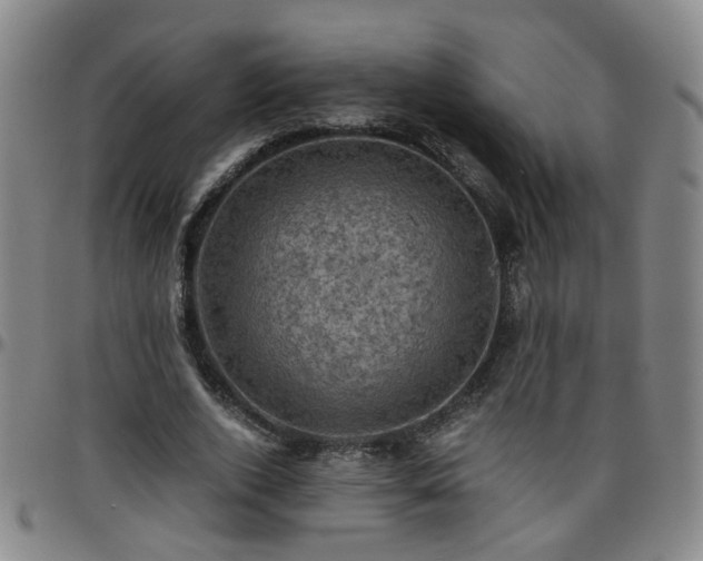 X0000096440728200801311428