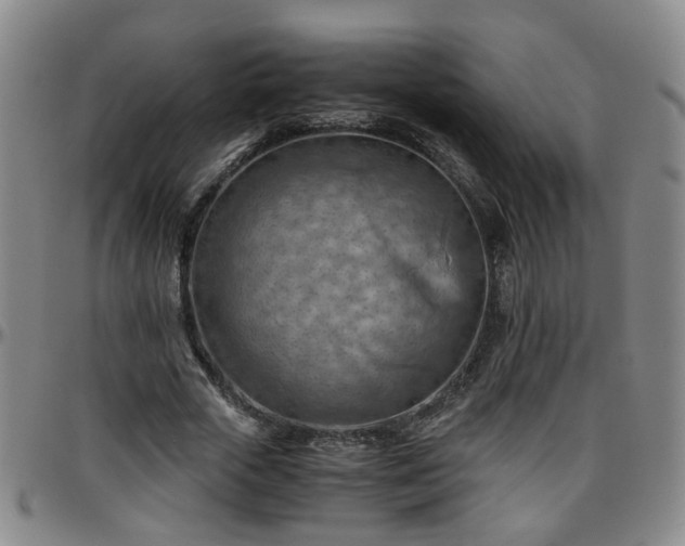 X0000096440729200801311428