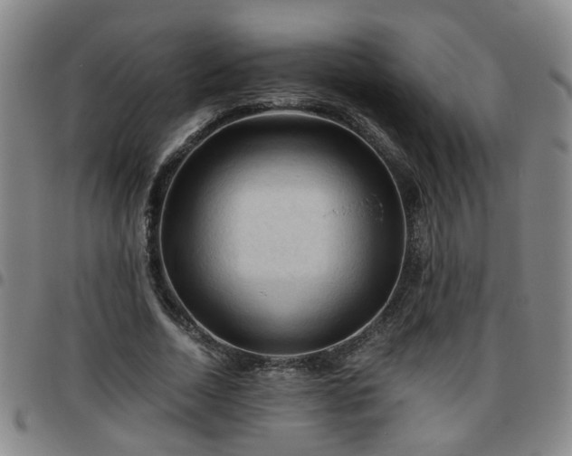 X0000096440730200801311428