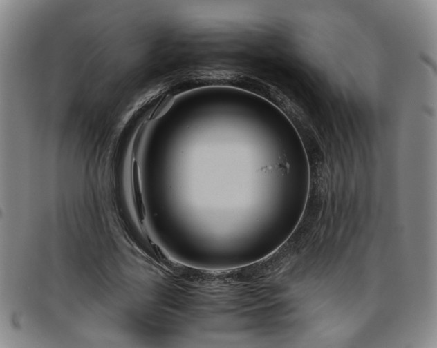 X0000096440731200801311428