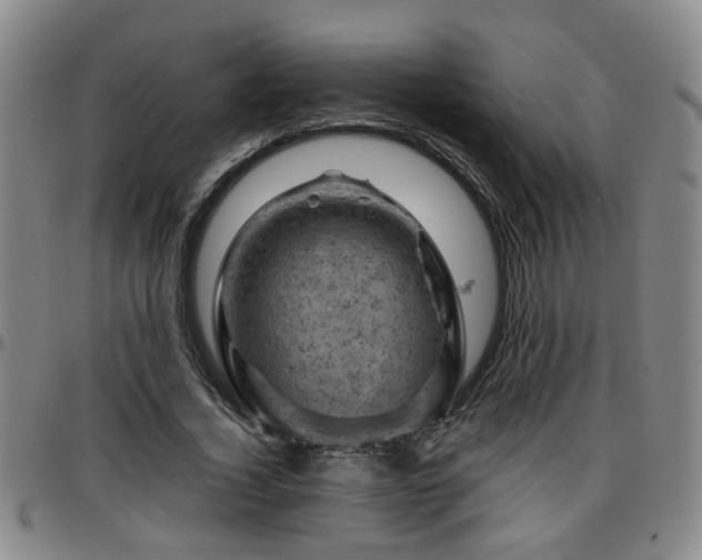 X0000096440732200801311428