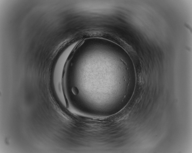 X0000096440733200801311428