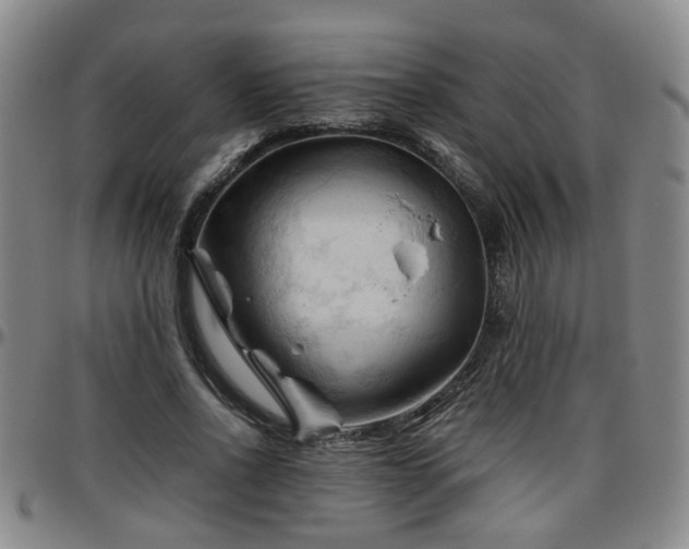 X0000096440734200801311428