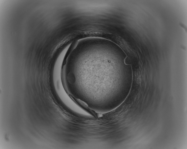 X0000096440735200801311428