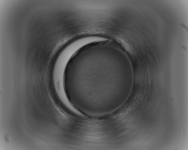 X0000096440736200801311428