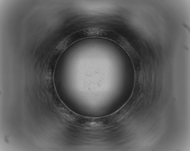 X0000096440737200801311428