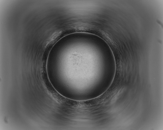 X0000096440738200801311428