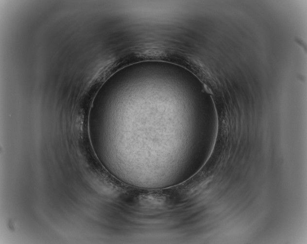 X0000096440739200801311428