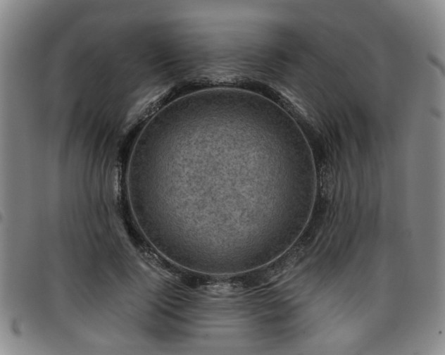 X0000096440740200801311428