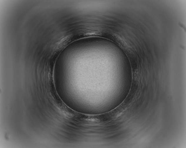 X0000096440741200801311428