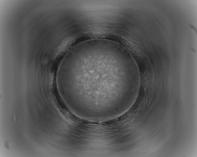 X0000096440742200801311428