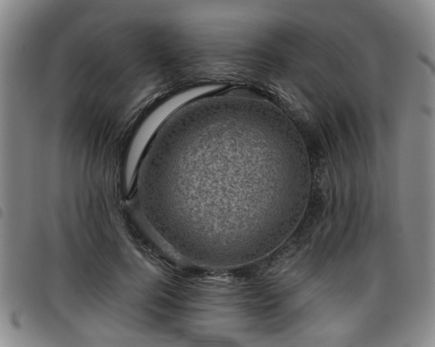 X0000096440744200801311428