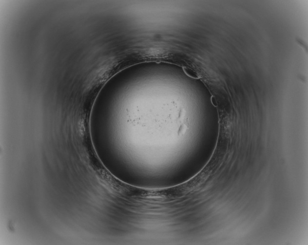 X0000096440746200801311428