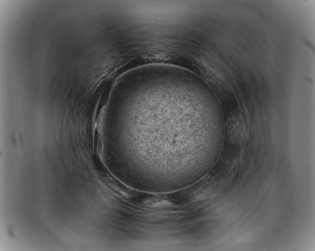 X0000096440747200801311428